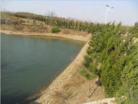 “水質(zhì)純凈”自2002年承包廢棄地、荒山治理種植茶葉以來(lái)，園區(qū)內(nèi)建造大口井