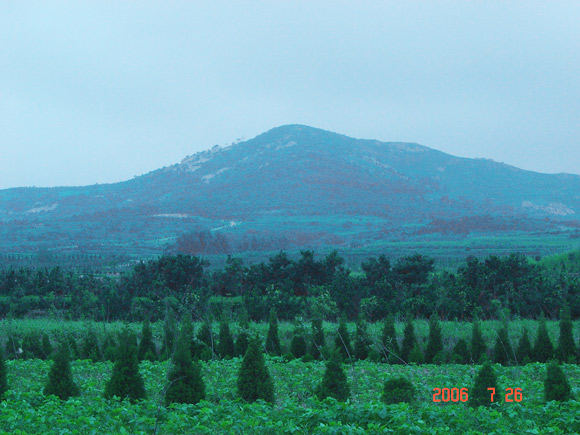 “優(yōu)質(zhì)土壤”生態(tài)園遠(yuǎn)離城鎮(zhèn)，遠(yuǎn)離工業(yè)區(qū)，土壤絕對(duì)天然、環(huán)保、綠色無(wú)污染